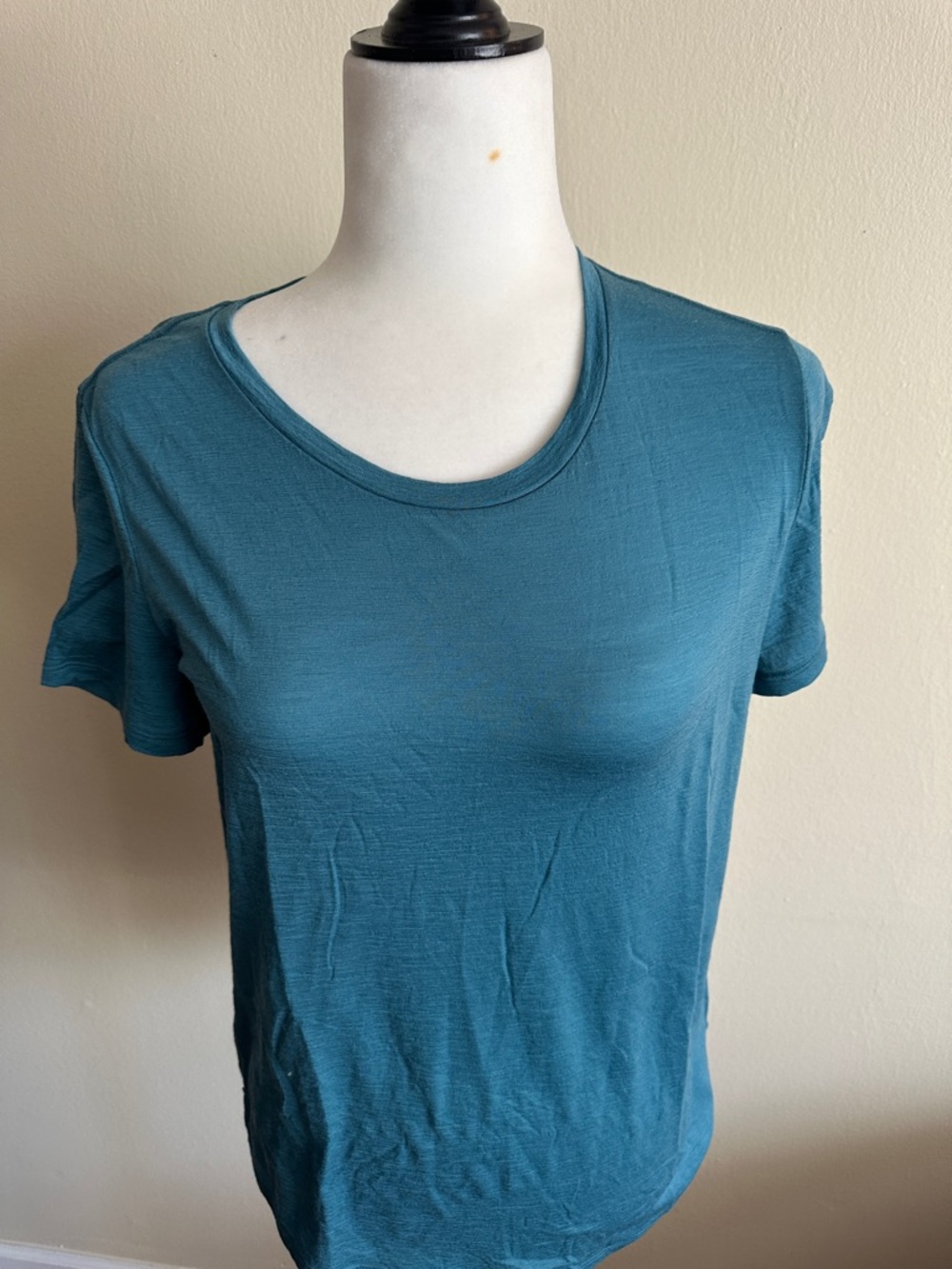 Icebreaker Teal Short-Sleeve Crew Neck Top